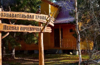 Предприниматели из Мурманской области могут получить субсидии из бюджета региона на развитие культурно-познавательного туризма