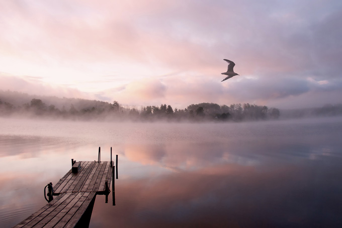 4-morning-lake-mist-russia f9b4d